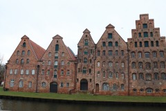 IMG_4816