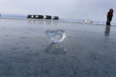 IMG_5890