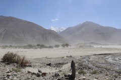 IMG_8299
