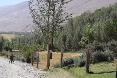 IMG_8300