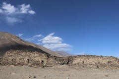 IMG_8351