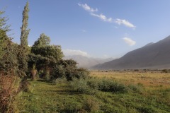IMG_8434