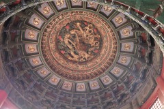 IMG_6539