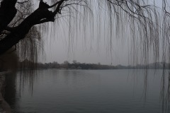 IMG_6573
