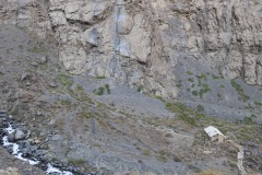 IMG_8630