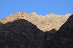 IMG_8647