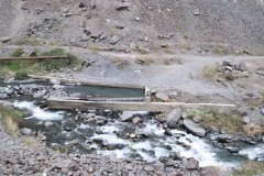 IMG_8653