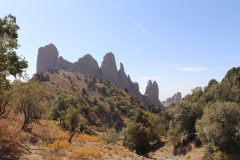 IMG_8793