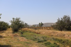 IMG_8866