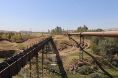IMG_8869