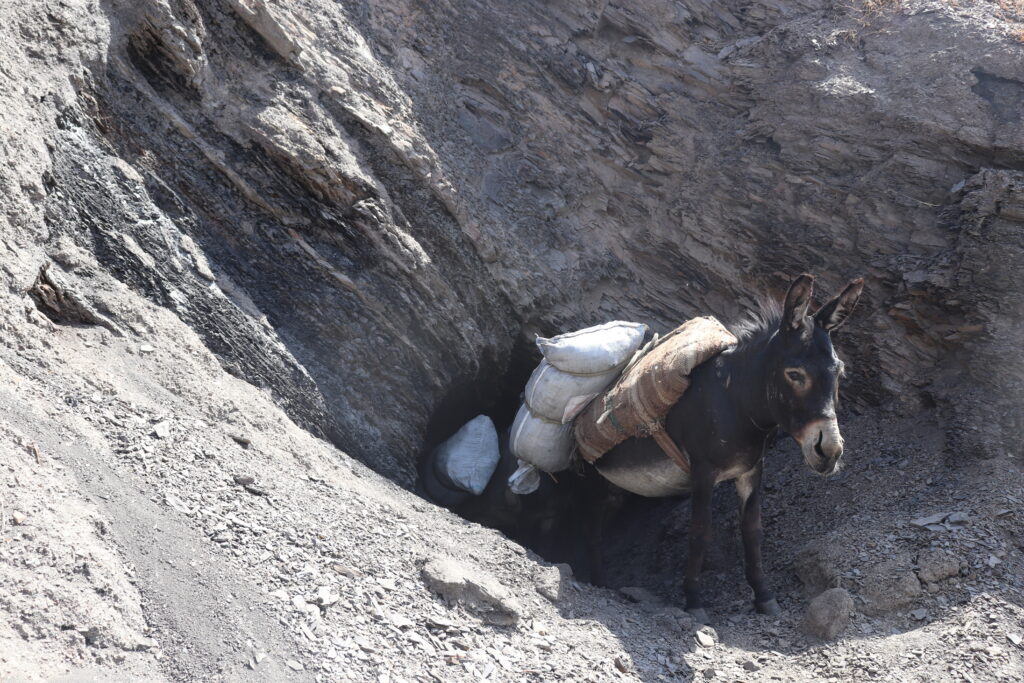 Ein Esel schaut aus einer Kohlemine im Bergdorf mit den Kohleminen - Kante