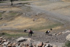 IMG_9248