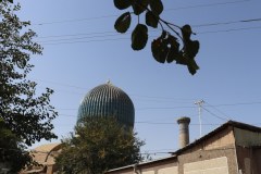 IMG_9475
