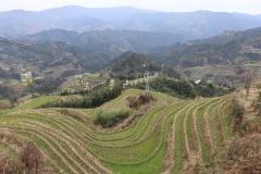 IMG_7752