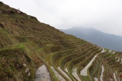 IMG_7894