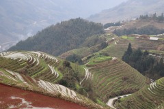 IMG_7913