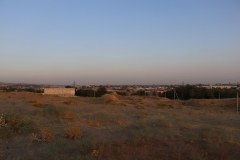 IMG_9719
