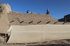 IMG_9946