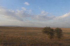 IMG_0132