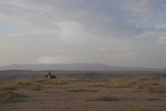 IMG_0139