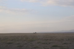 IMG_0141