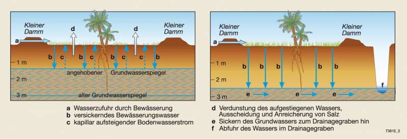 Schema des Entstehens und der Verhinderung der Versalzung von Bewässerungsflächen in ariden Regionen