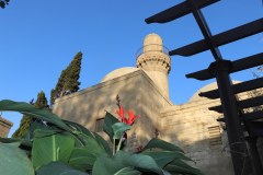 IMG_0875