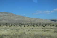 IMG_1019