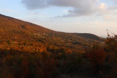 IMG_1165