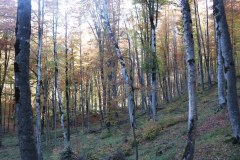 IMG_1168