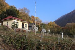 IMG_1278
