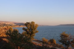 IMG_1561
