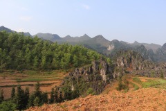 IMG_8529