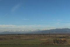 IMG_1608