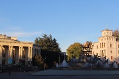 IMG_1778