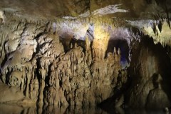 IMG_1675