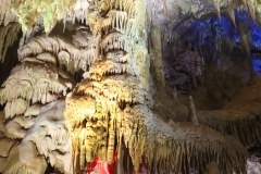 IMG_1707