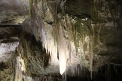IMG_1717