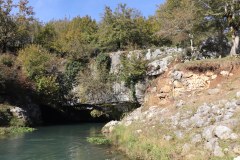 IMG_1761