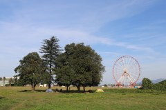 IMG_1936