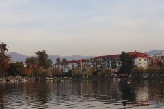 IMG_1961