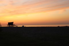 IMG_1970