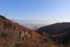 IMG_2100