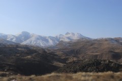 IMG_2509