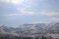 IMG_2523