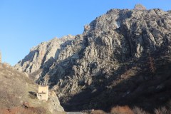 IMG_2555