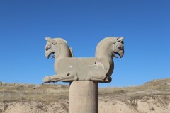 IMG_3397