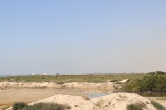 IMG_3821