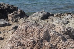 IMG_3845