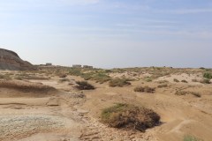 IMG_3961